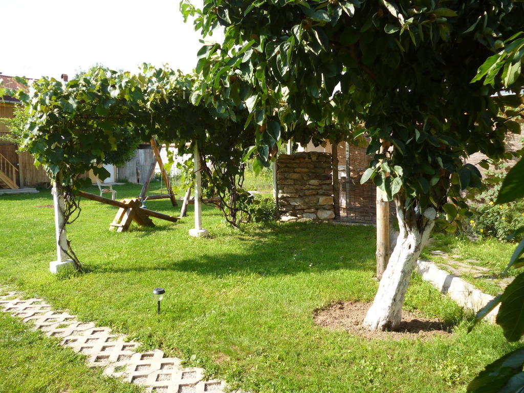 Villa Jun Guest House Bełogradczik Zewnętrze zdjęcie