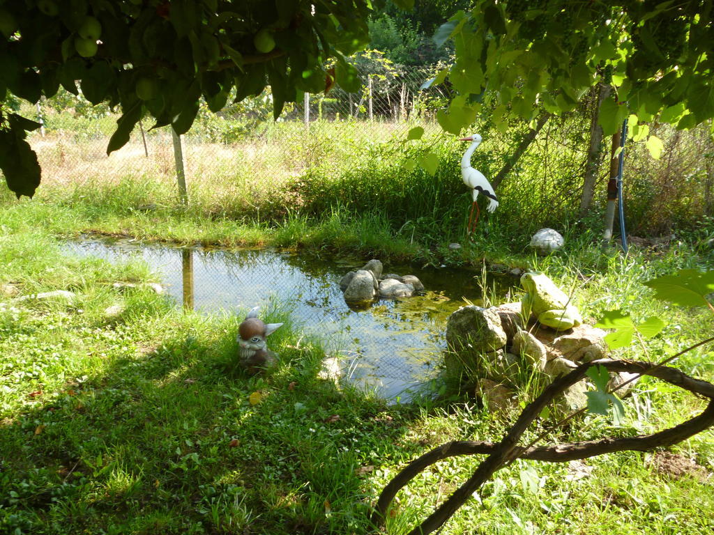 Villa Jun Guest House Bełogradczik Zewnętrze zdjęcie
