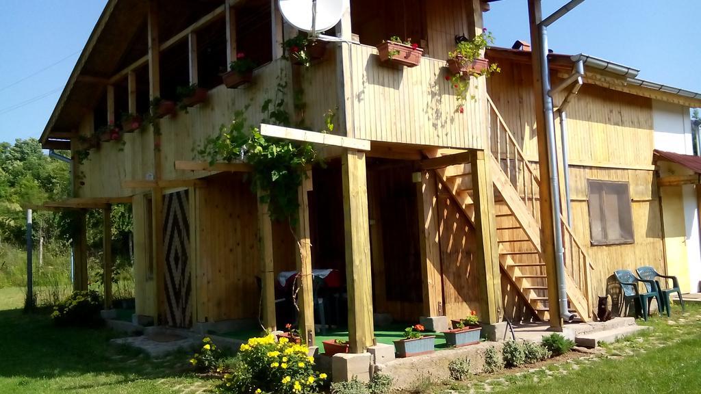 Villa Jun Guest House Bełogradczik Zewnętrze zdjęcie